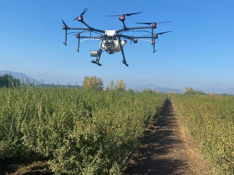 ¿Cómo los drones están revolucionando la industria agrícola?
