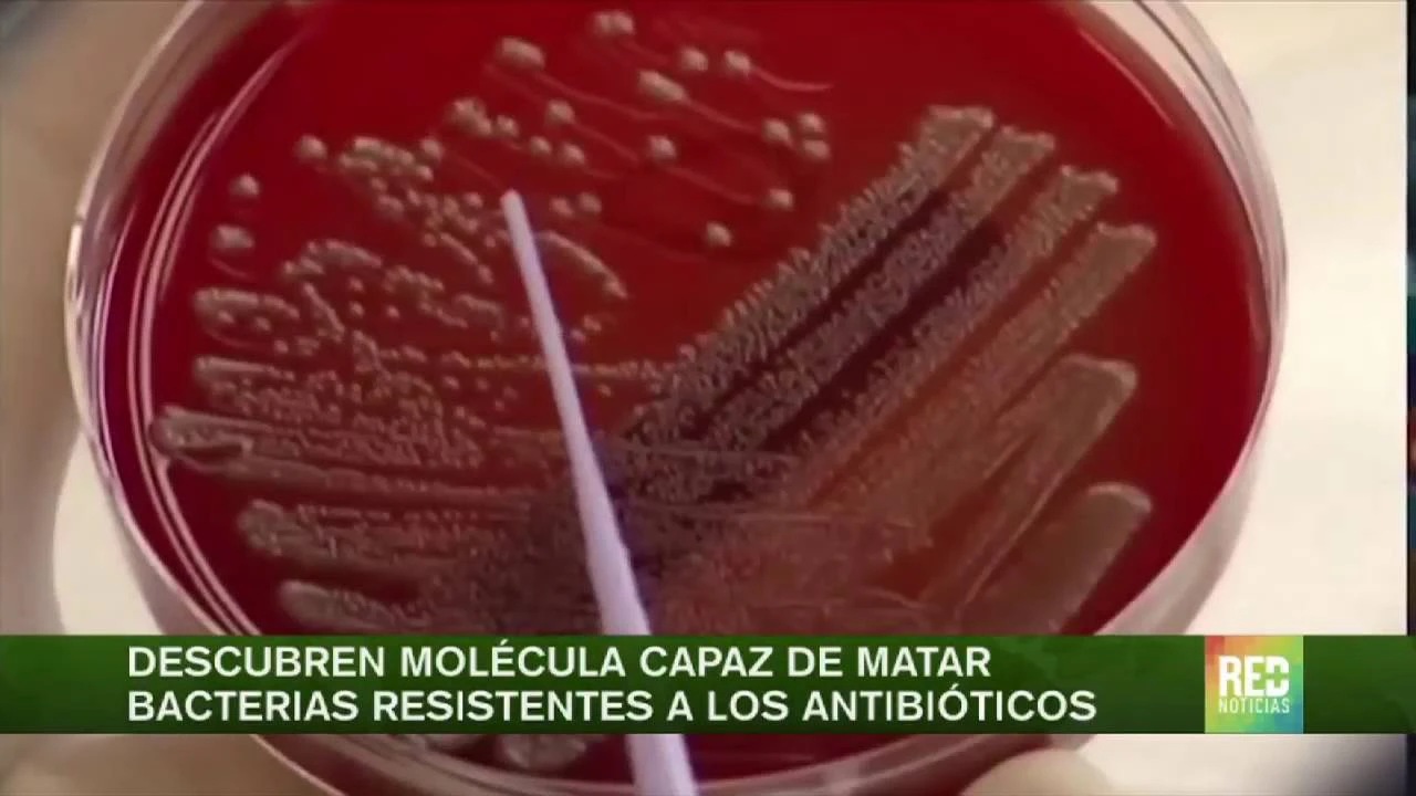 Descubren molécula que podría combatir las bacterias resistentes a los antibióticos