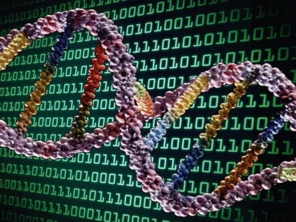 Descubren un nuevo método para almacenar datos en ADN