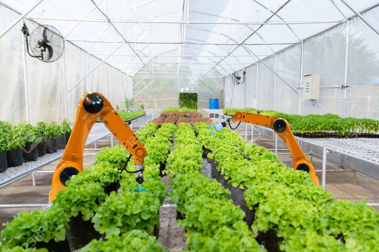 La inteligencia artificial transforma la agricultura