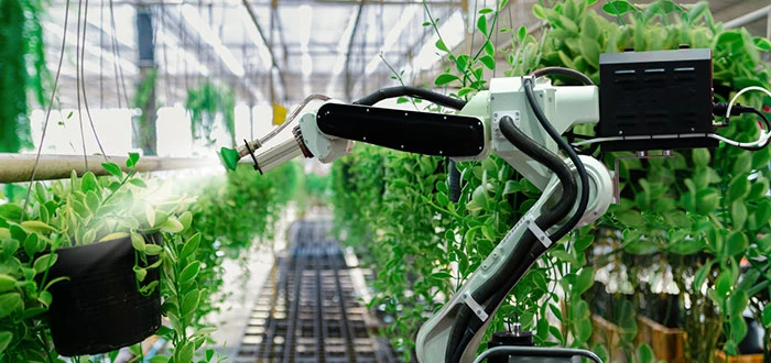 Cómo la inteligencia artificial está revolucionando la agricultura