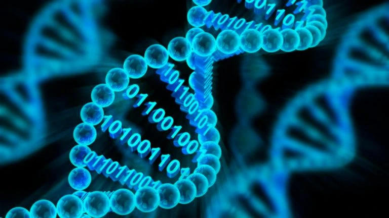 Descubren un nuevo método para almacenar información en moléculas de ADN