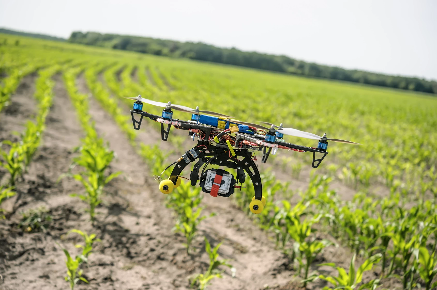 Descubre cómo los drones están revolucionando la agricultura