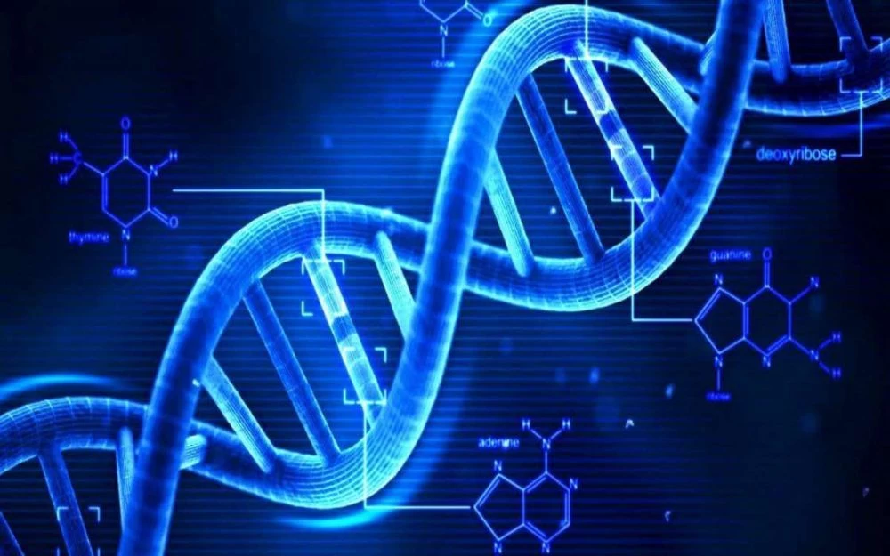 Descubren una nueva forma de almacenamiento de datos: el ADN