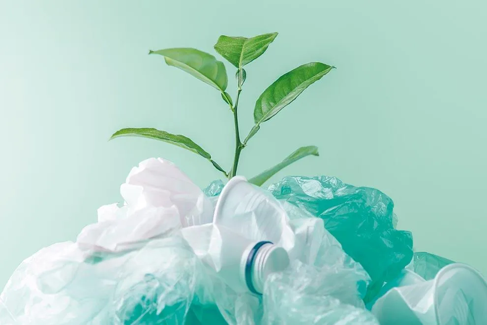 El plástico biodegradable: una solución para combatir la contaminación ambiental