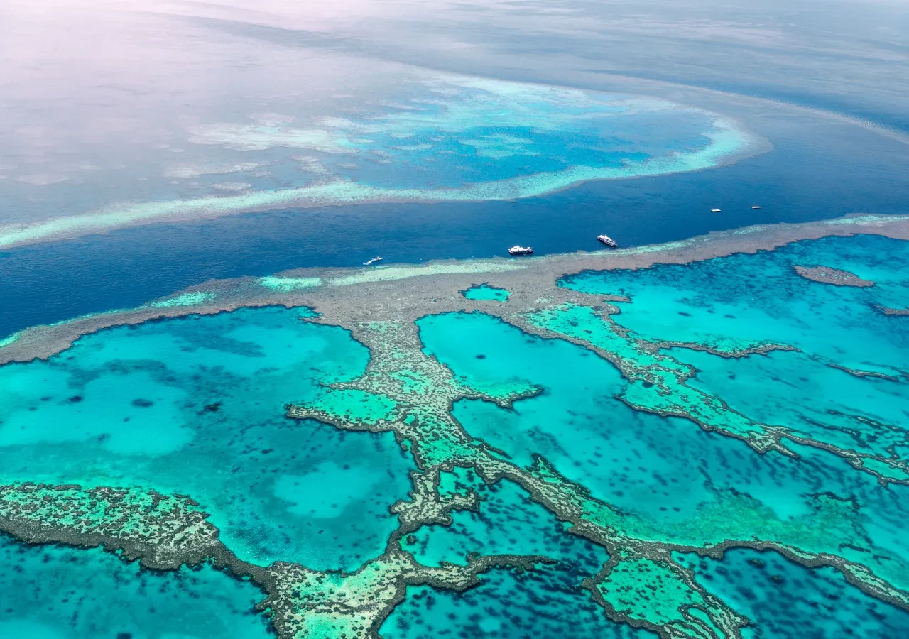 Descubre la maravillosa Gran Barrera de Coral