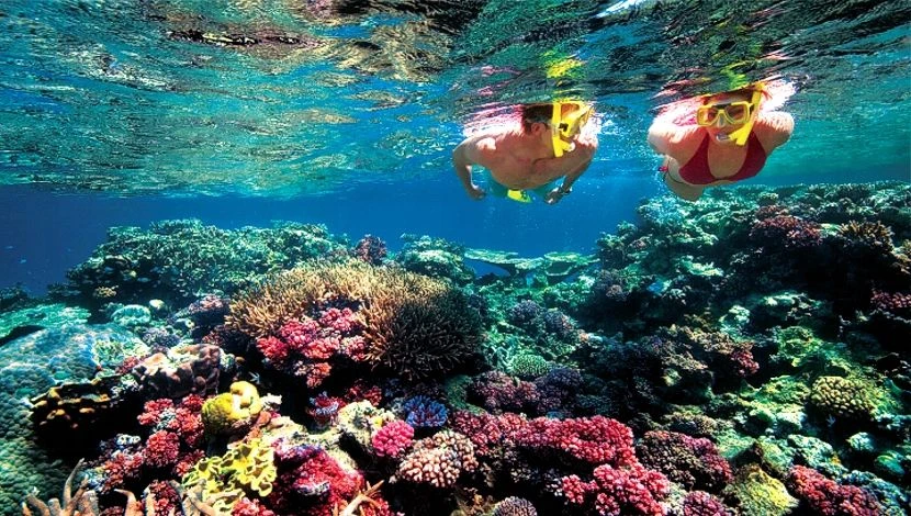 Explorando las maravillas de la Gran Barrera de Coral