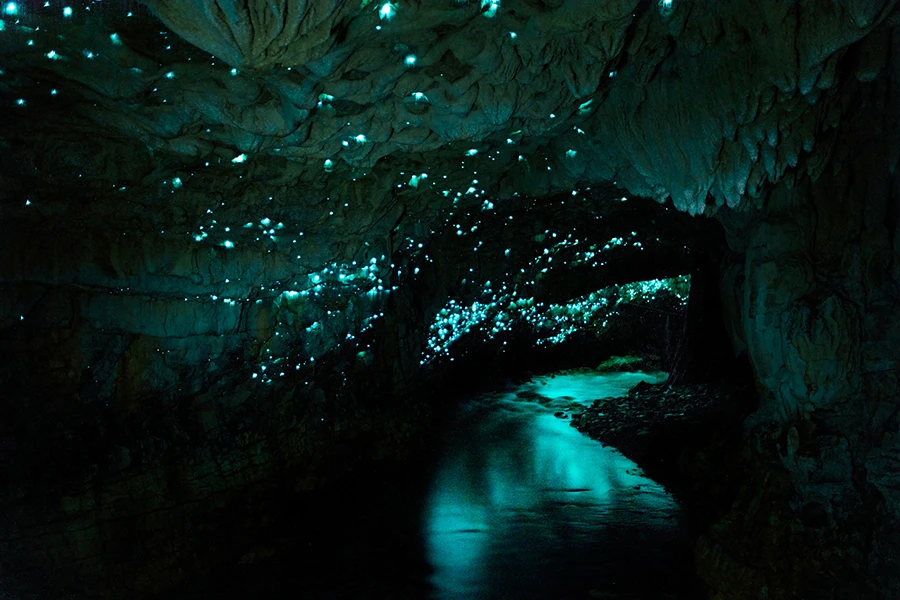 El encanto misterioso de las cuevas de Waitomo en Nueva Zelanda