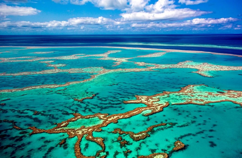 La magia de la Gran Barrera de Coral en Australia