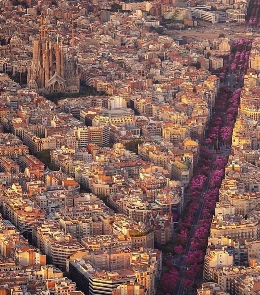 Explora la hermosa ciudad de Barcelona