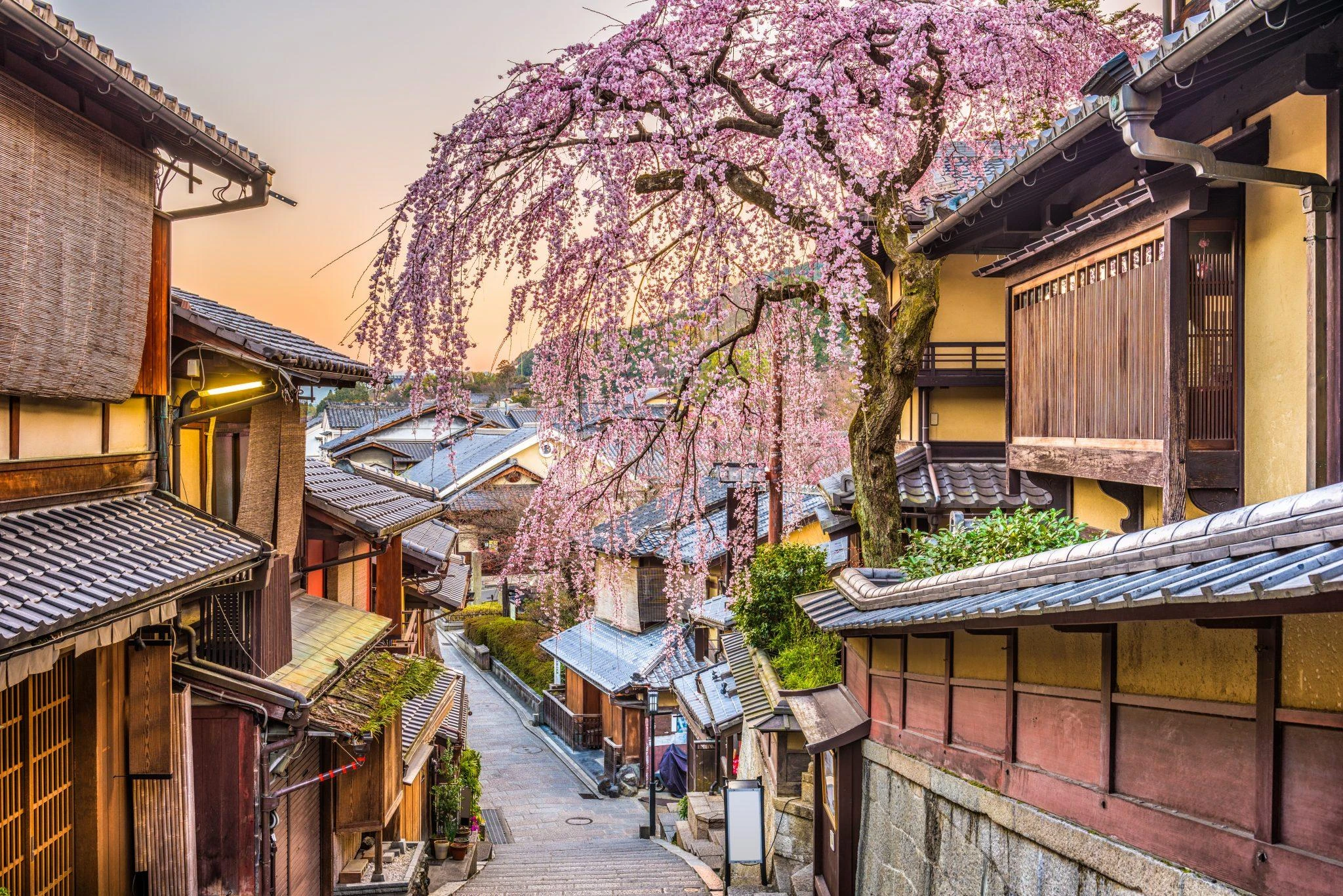 Descubre los encantos de Kyoto