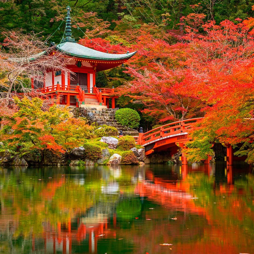 Descubre la encantadora ciudad de Kioto