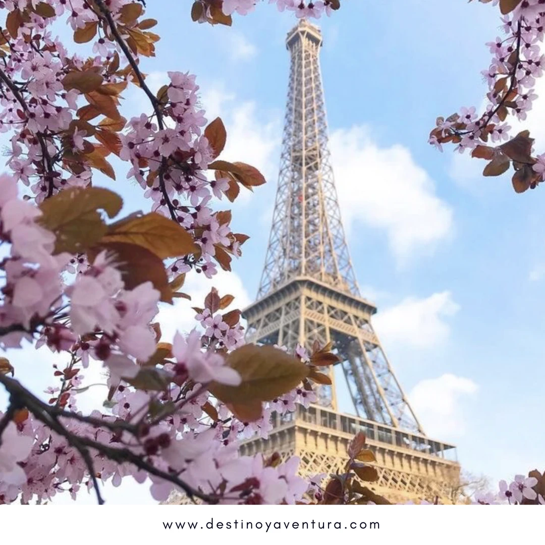 París: La ciudad del amor y la belleza