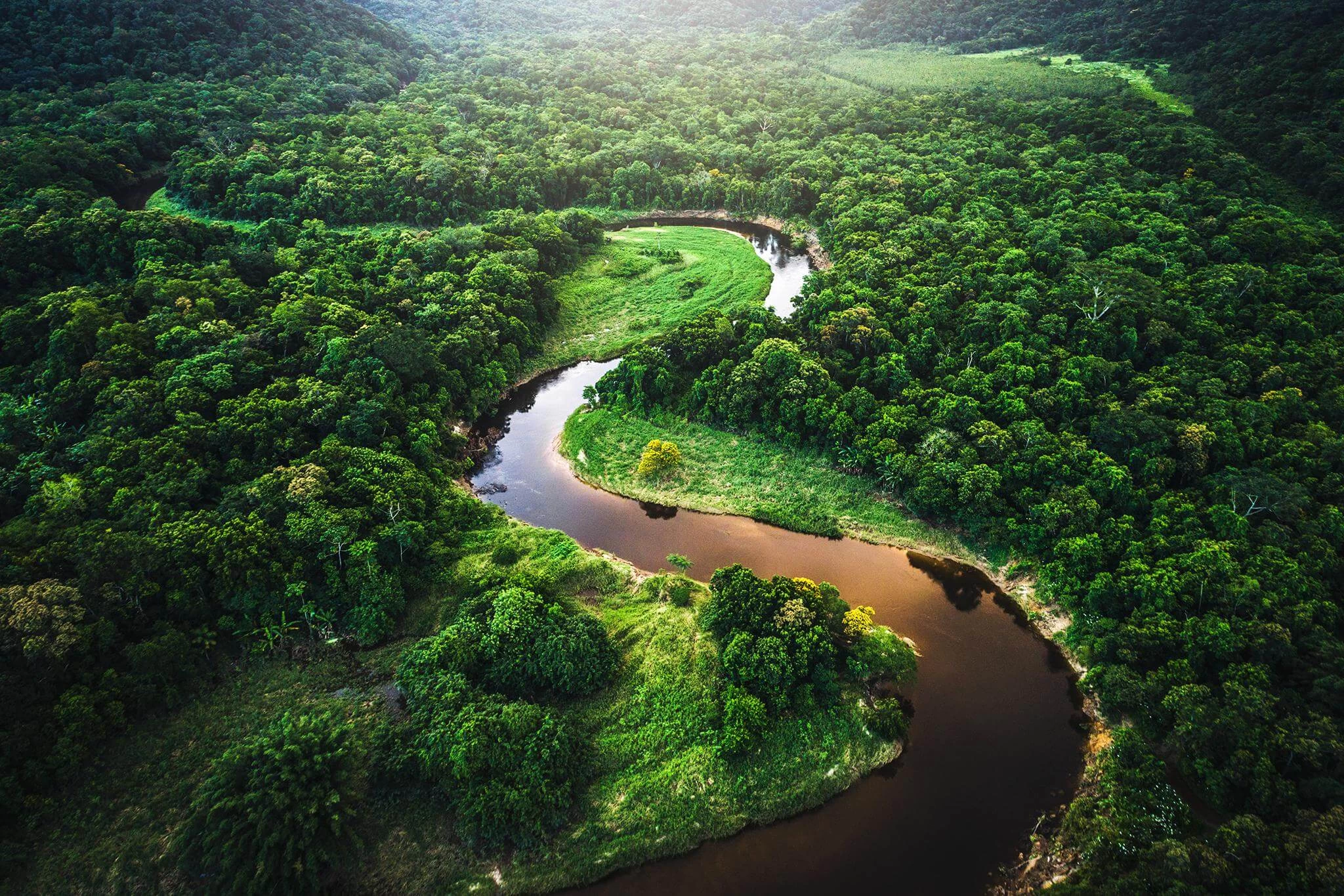 Explorando la belleza natural de la selva amazónica