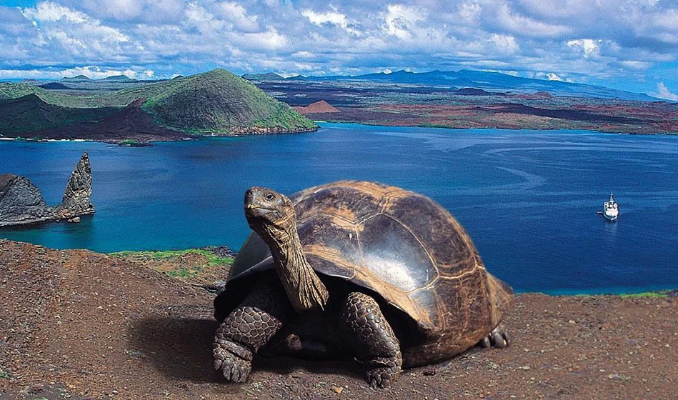 Explorando las maravillas de las islas Galápagos
