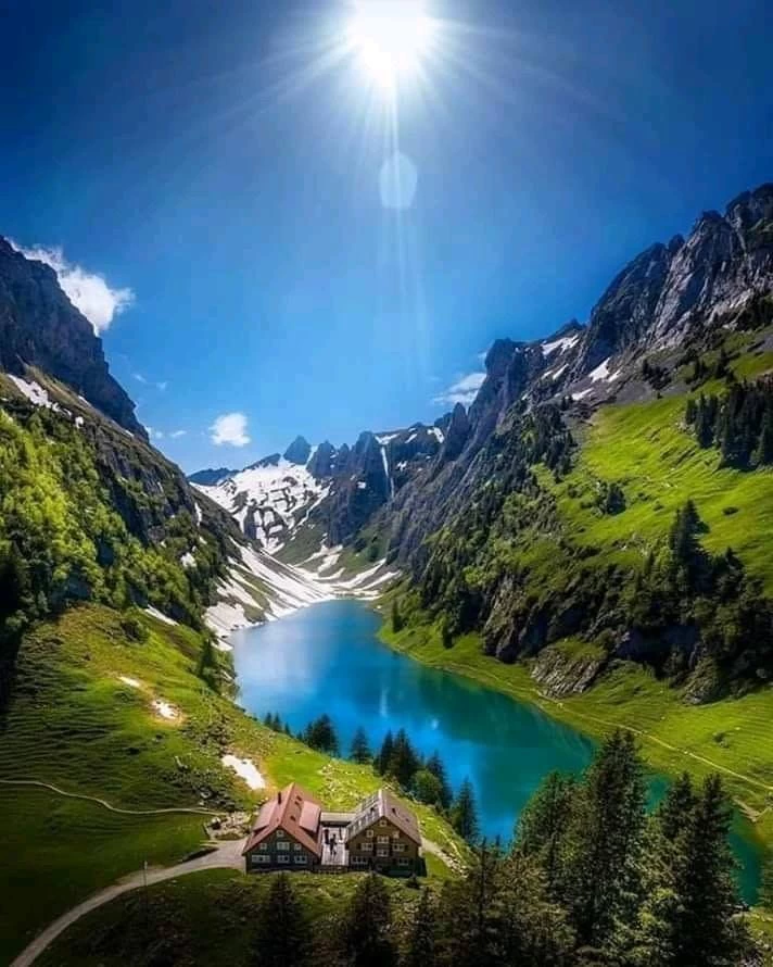 Descubre la belleza de los Alpes Suizos