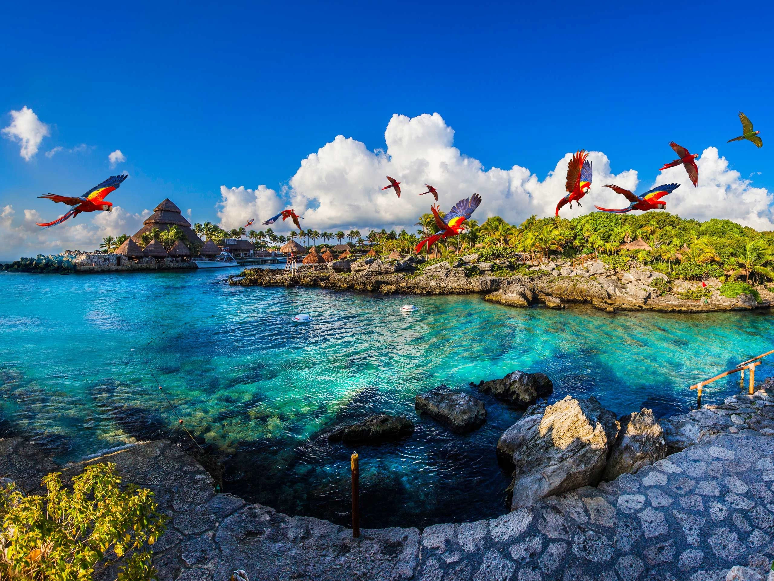 Descubre la belleza natural de la Riviera Maya