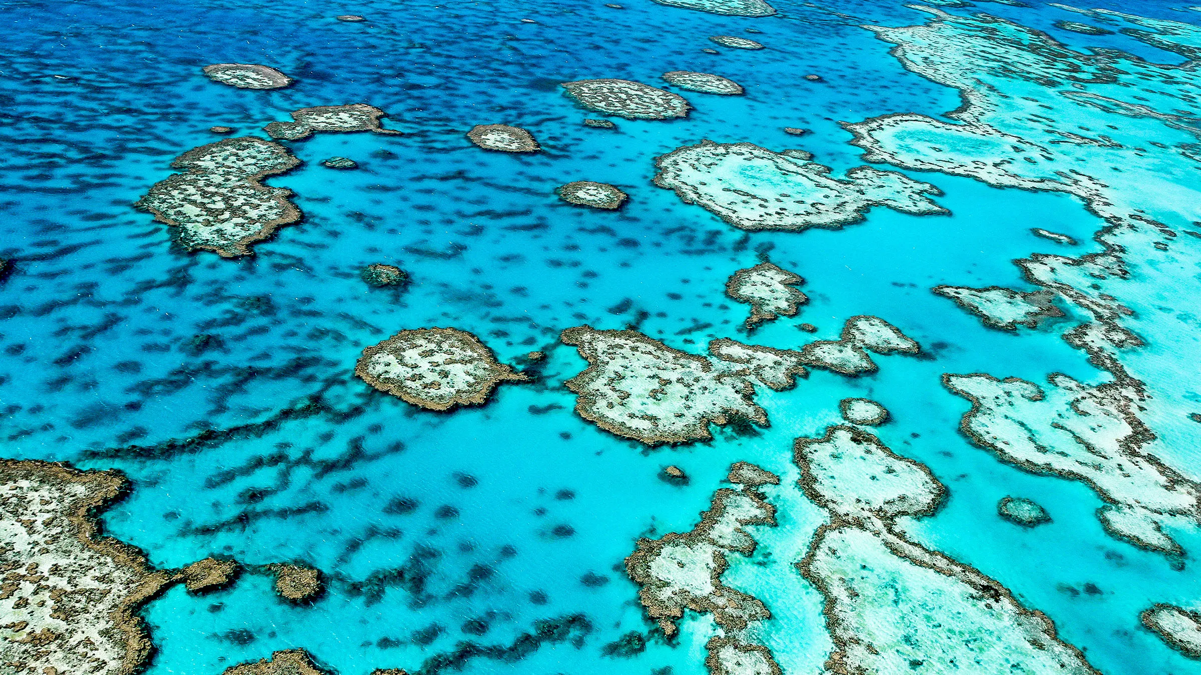 Explora las maravillas de la Gran Barrera de Coral