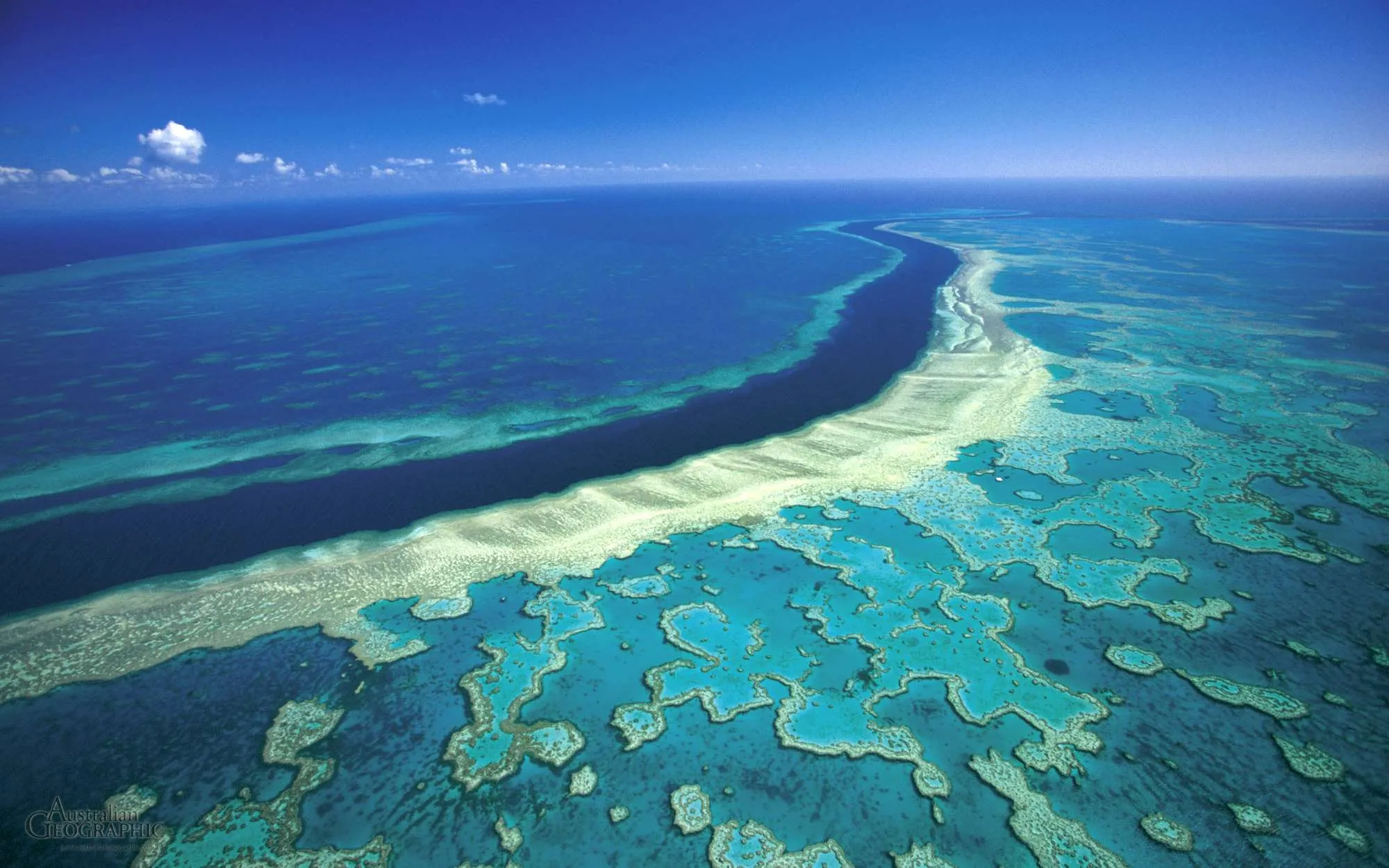 Explorando la majestuosidad de la Gran Barrera de Coral