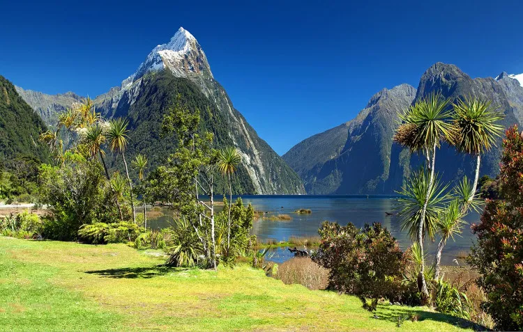 Explora los encantos de Nueva Zelanda