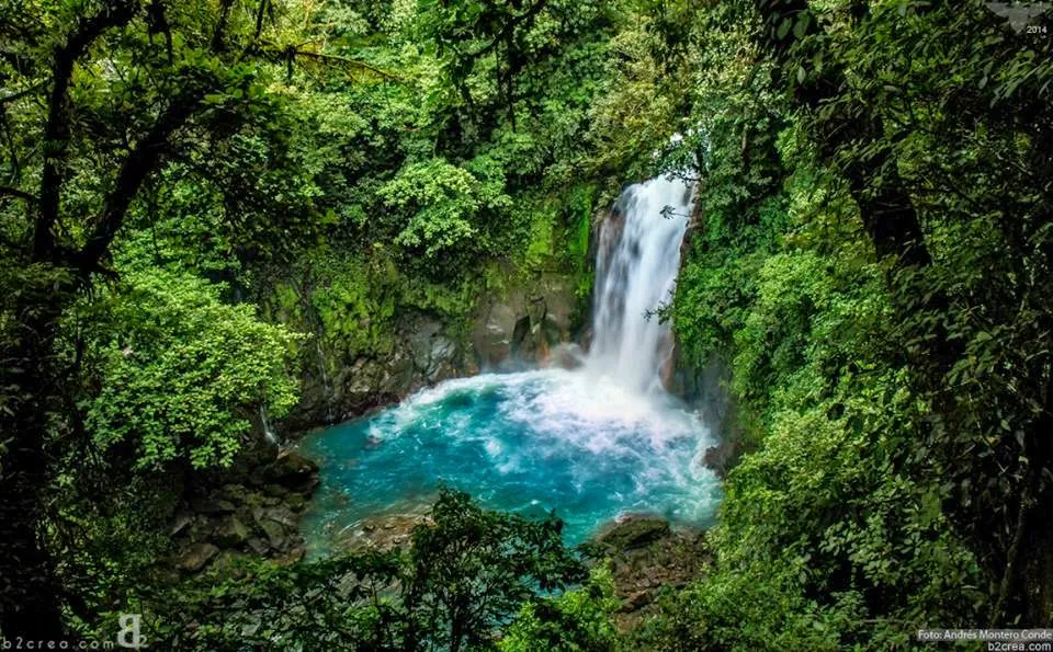 Explorando la belleza natural de Costa Rica