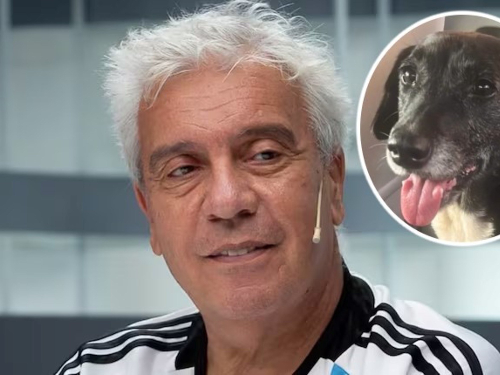 Coco Sily: El momento emocionante en el programa donde un perro buscó refugio en el estudio de la radio